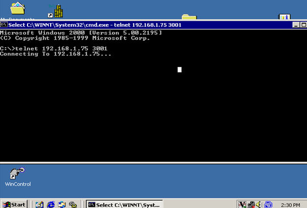 Telnet Screen